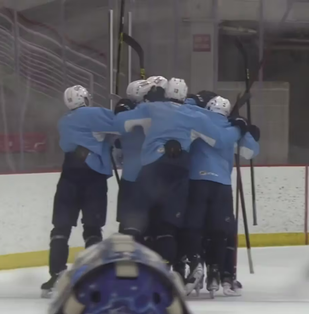 Nicole Sedivy - Admirals 2nd Half of Season Package