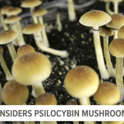 Ryan Haarer, Legalizing Mushrooms